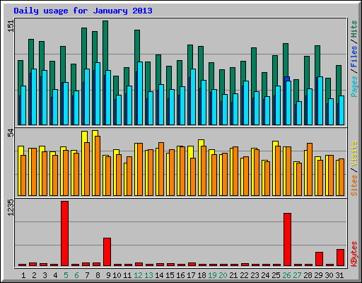 Daily usage for January 2013