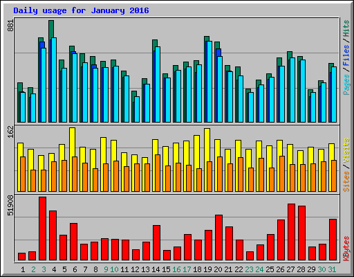 Daily usage for January 2016