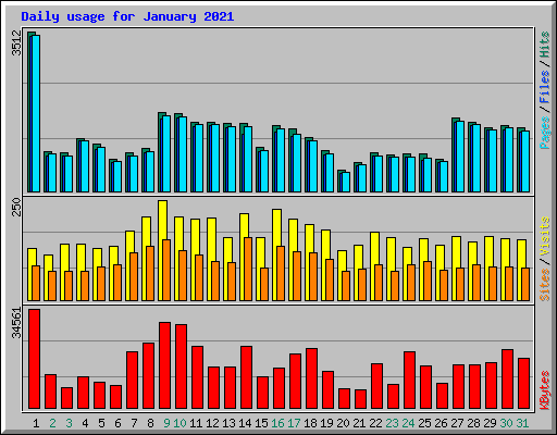 Daily usage for January 2021
