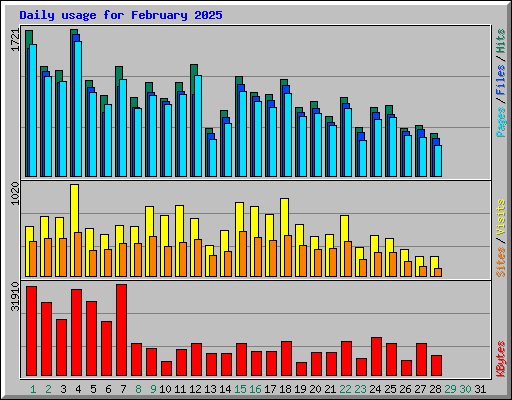 Daily usage for February 2025