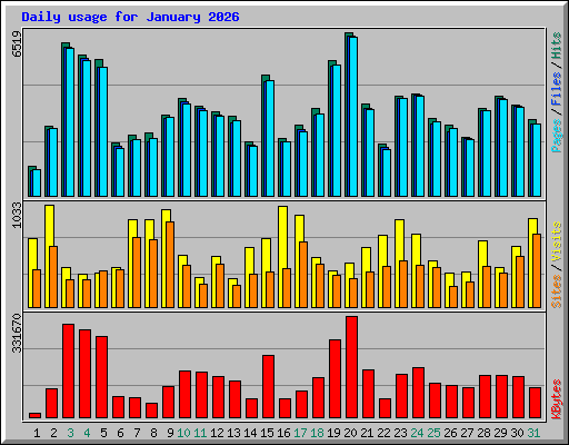 Daily usage for January 2026