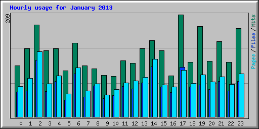 Hourly usage for January 2013