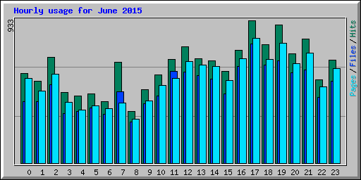 Hourly usage for June 2015