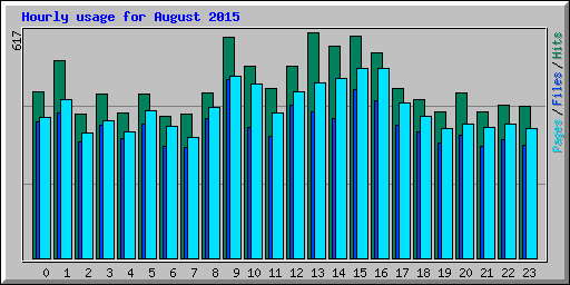 Hourly usage for August 2015