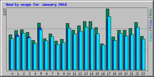 Hourly usage for January 2016