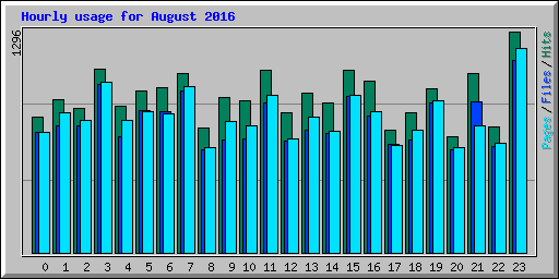 Hourly usage for August 2016