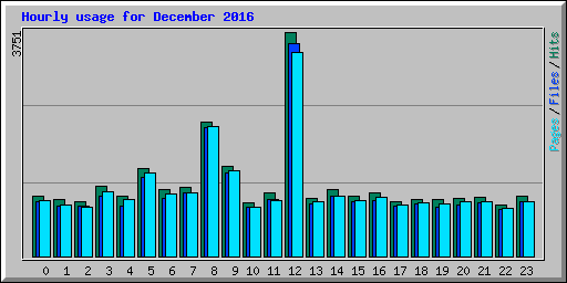 Hourly usage for December 2016