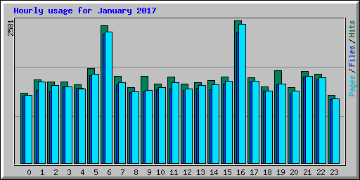 Hourly usage for January 2017