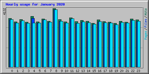 Hourly usage for January 2020