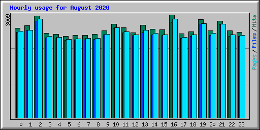 Hourly usage for August 2020