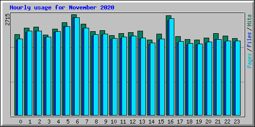 Hourly usage for November 2020