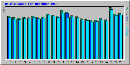 Hourly usage for December 2020