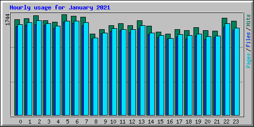 Hourly usage for January 2021