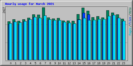 Hourly usage for March 2021