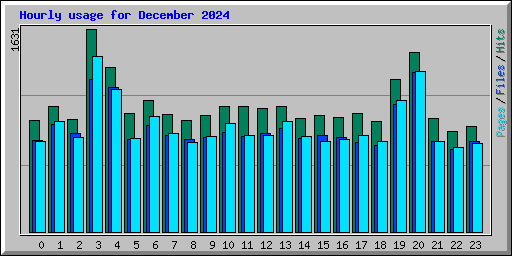 Hourly usage for December 2024