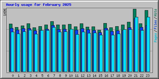 Hourly usage for February 2025