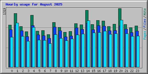 Hourly usage for August 2025