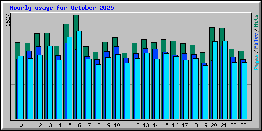 Hourly usage for October 2025