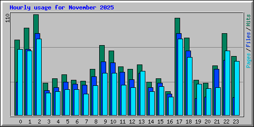 Hourly usage for November 2025