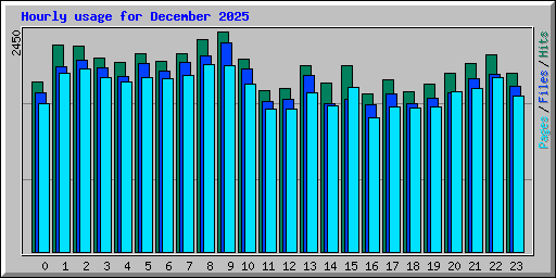 Hourly usage for December 2025