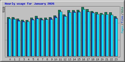 Hourly usage for January 2026