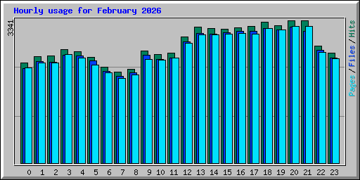 Hourly usage for February 2026
